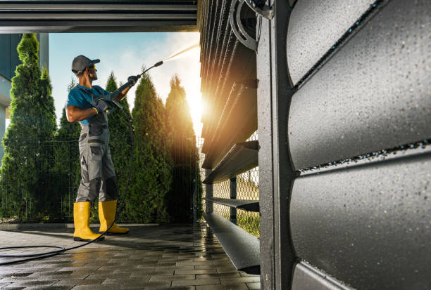 Best Roof Washing  in Tomah, WI